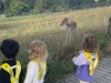 img-20260818-wa0016