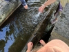 img-20250723-wa0002