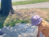 img-20260721-wa0019