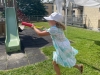 img-20250703-wa0022