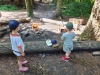 img-20250612-wa0074