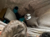 img-20260620-wa0015