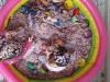img-20260217-wa0047