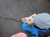 img-20260217-wa0019