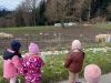 img-20260316-wa0004