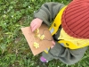 img-20260324-wa0004