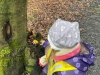 img-20260330-wa0032