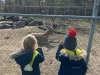 img-20260324-wa0022