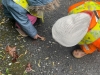 img-20250506-wa00021