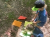 img-20260529-wa0009