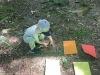 img-20260529-wa0012