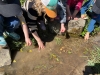 img-20260423-wa0009