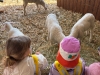 img-20260430-wa0017