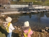 img-20250311-wa0004