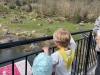 img-20250321-wa0002