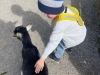 img-20250321-wa0049