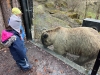 img-20250321-wa0054