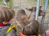 img-20250324-wa0006
