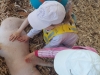 img-20250429-wa0069