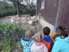 img-20250512-wa0014