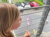 img-20250522-wa0002