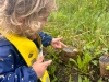 img-20250602-wa0006
