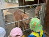 img-20260420-wa0012