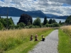 img-20260611-wa0009
