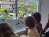 img-20260618-wa0006