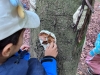 img-20260519-wa0019