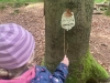 img-20260519-wa0049
