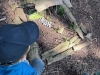 img-20260521-wa0024